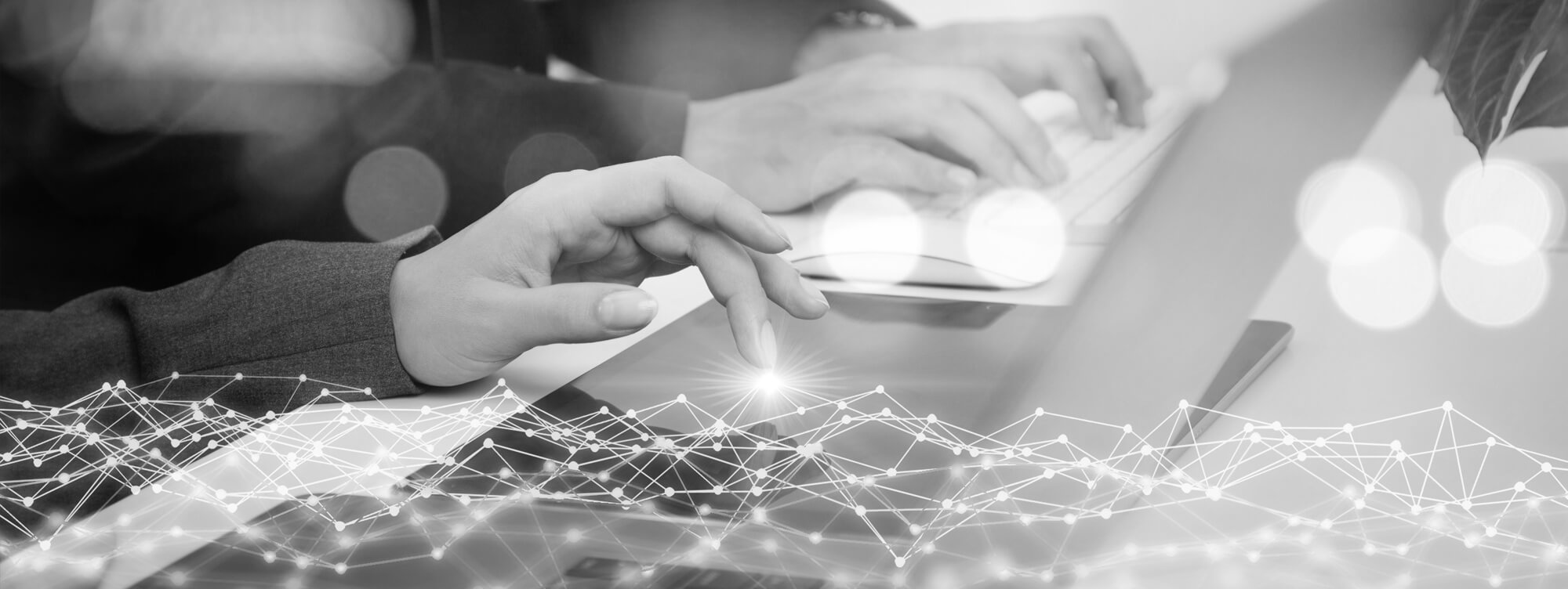 Diso It Services